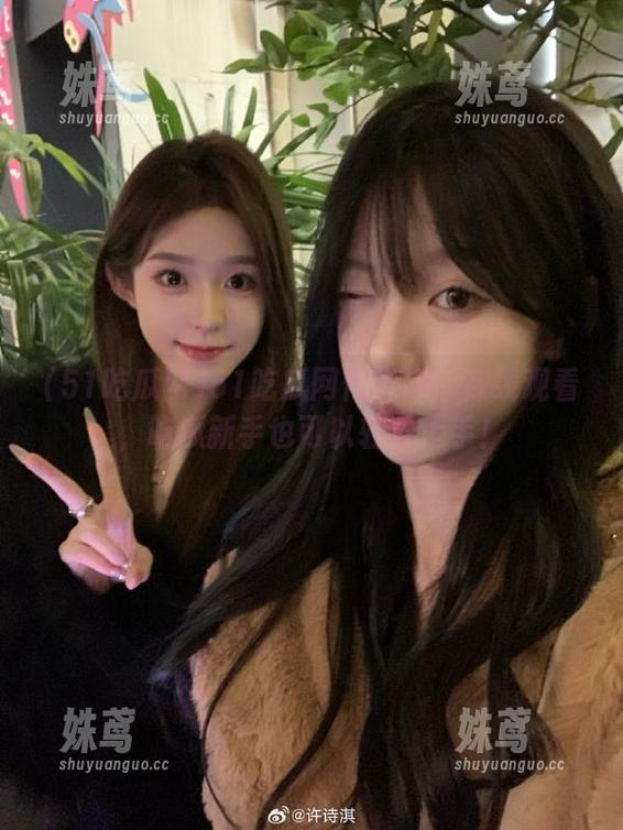 51吃瓜网传送门：在线观看，吃瓜新手也可以轻松上手！