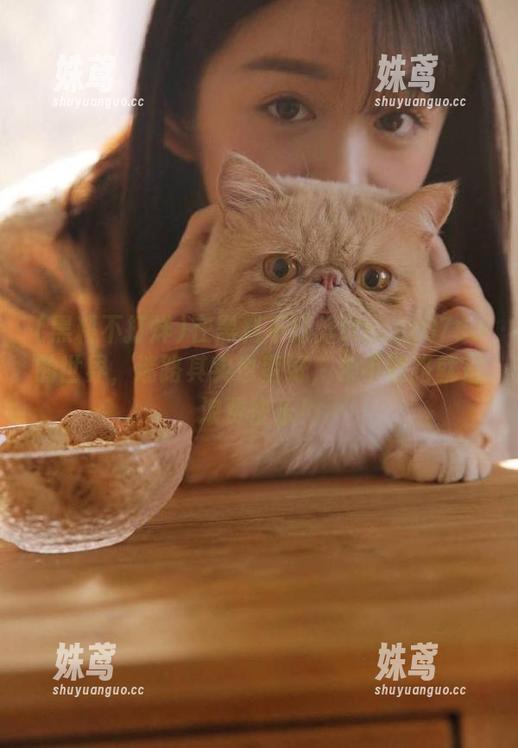 黑料不打烊 在黑料不打烊tttzzz07su的世界,迷路其实也蛮好,永不迷路就是浪费快乐!